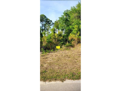 Lehigh Acres Area Lot For Sale in Lehigh Acres Florida