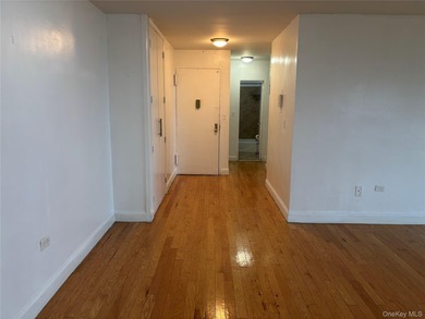(private lake, pond, coastal) Condo Sale Pending in Brooklyn New York