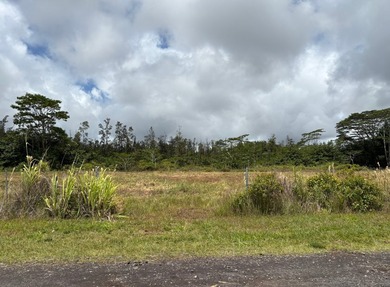 Rare opportunity to own a beautifully prepared 2-acre corner - photo 2