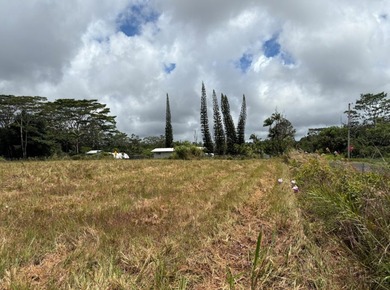 Rare opportunity to own a beautifully prepared 2-acre corner - photo 3