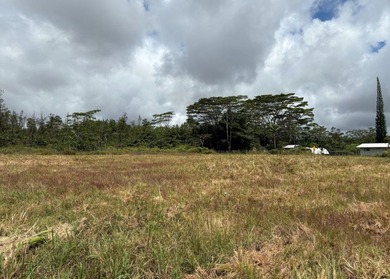 Rare opportunity to own a beautifully prepared 2-acre corner - photo 4