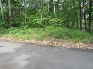 Higgins Lake Lot For Sale in Roscommon Michigan