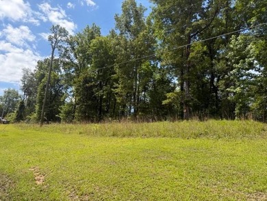 Discover the potential of this beautiful 1+/- acre of - photo 1