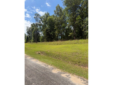 Discover the potential of this beautiful 1+/- acre of - photo 2