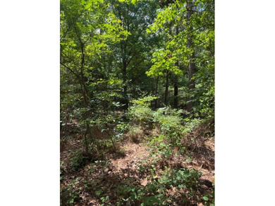 Discover the potential of this beautiful 1+/- acre of - photo 4