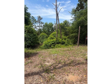 Discover the potential of this beautiful 1+/- acre of - photo 5