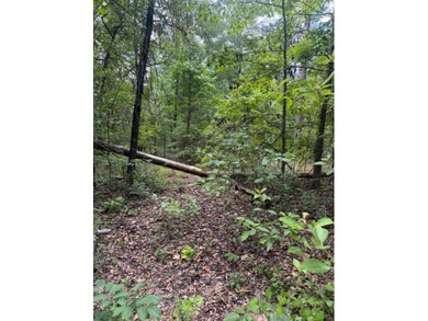 Discover the potential of this beautiful 1+/- acre of - photo 7