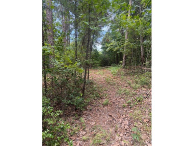 Discover the potential of this beautiful 1+/- acre of - photo 8