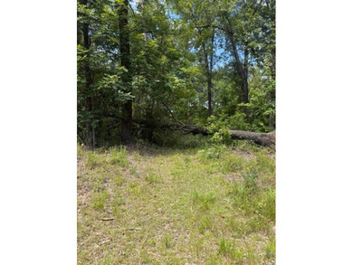 Discover the potential of this beautiful 1+/- acre of - photo 10