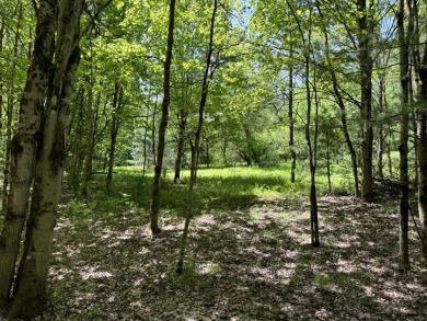 Wooded Camper or Cabin Site Near Oneida Lake - photo 2