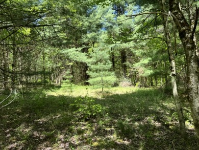 Wooded Camper or Cabin Site Near Oneida Lake - photo 6