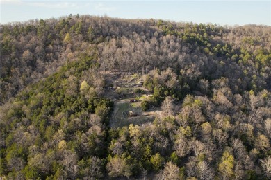 Fantastic opportunity to own a one of a kind property located - photo 11