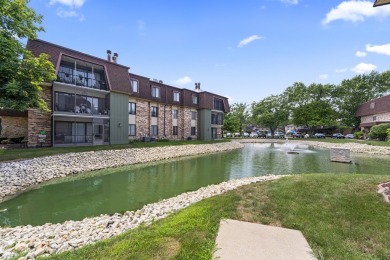 Lake Home For Sale in Palos Hills, Illinois