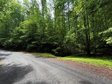 Tucked away in the beautiful mountains of Ellijay, this gorgeous - photo 1