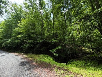 Tucked away in the beautiful mountains of Ellijay, this gorgeous - photo 2