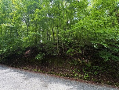 Tucked away in the beautiful mountains of Ellijay, this gorgeous - photo 3