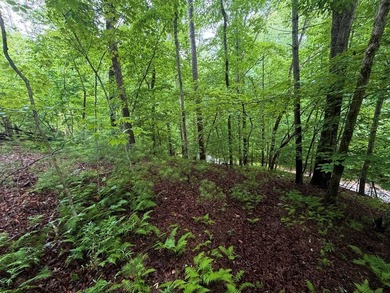 Tucked away in the beautiful mountains of Ellijay, this gorgeous - photo 5