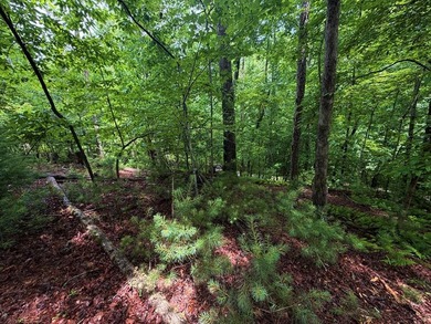 Tucked away in the beautiful mountains of Ellijay, this gorgeous - photo 6