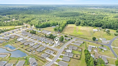 Not all homes in Folkstone Heights are created equal. This - photo 47