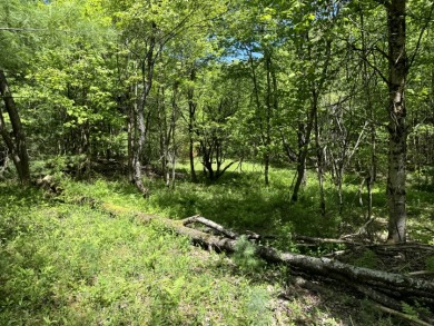 Wooded Camper or Cabin Site Near Oneida Lake - photo 4