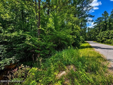 8.2 acres with frontage on Hwy 57 and Breland Road in Benndale - photo 11