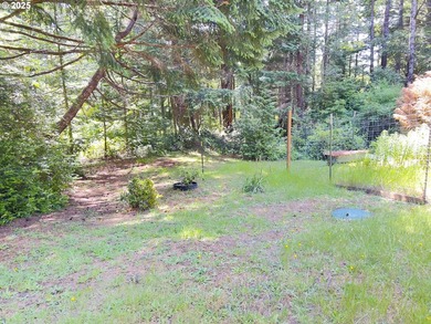 Private Country Retreat in Port Orford! Welcome to 42065 Vista - photo 27