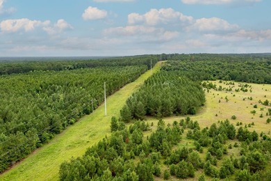 (private lake, pond, coastal) Acreage For Sale in Fort Gaines Georgia