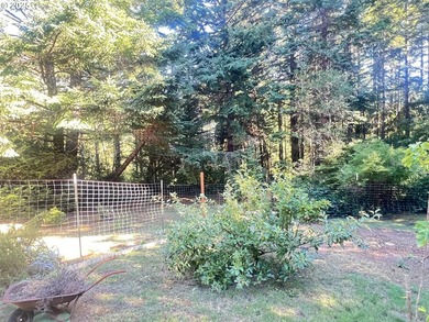 Private Country Retreat in Port Orford! Welcome to 42065 Vista - photo 35