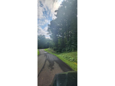 Montag Lake  Acreage For Sale in Ellijay Georgia