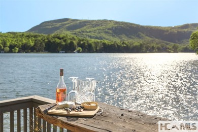 Welcome to an extraordinary lakefront estate on Lake Toxaway - photo 47