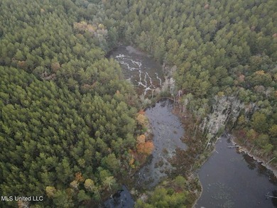 +/-80 Acres - Smith County, MS | Mize School District Located - photo 3