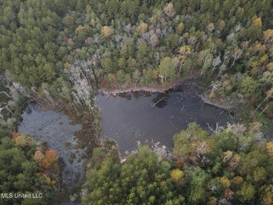 +/-80 Acres - Smith County, MS | Mize School District Located - photo 4