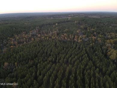 +/-80 Acres - Smith County, MS | Mize School District Located - photo 5