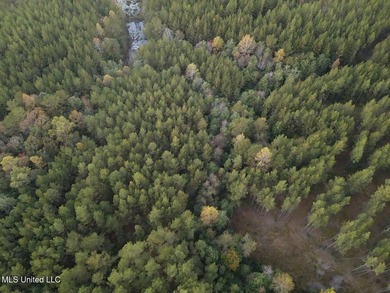 +/-80 Acres - Smith County, MS | Mize School District Located - photo 6