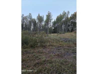 +/-80 Acres - Smith County, MS | Mize School District Located - photo 7