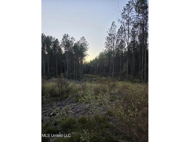 +/-80 Acres - Smith County, MS | Mize School District Located - photo 10