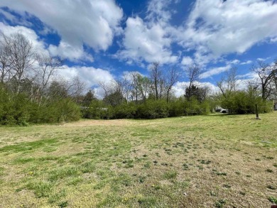 Lake Lot For Sale in Norfork, Arkansas