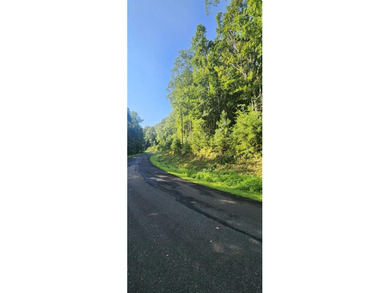 Montag Lake  Lot For Sale in Ellijay Georgia
