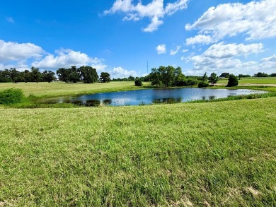 Discover one of the most beautiful homesites in Waters Edge - photo 13