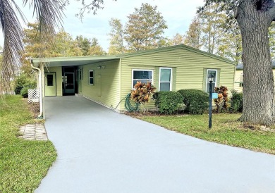 (private lake, pond, creek) Home For Sale in Leesburg Florida