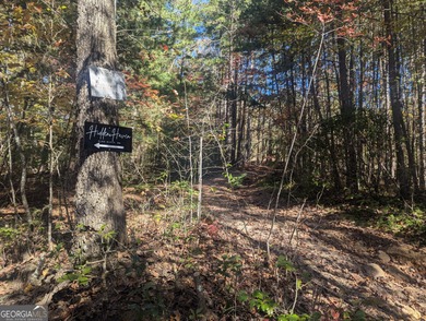 Lake Acreage For Sale in Blue Ridge, Georgia