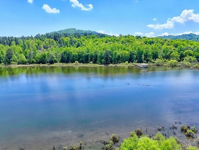 Discover Your Dream Lakefront Escape at Lake Nottely! Located in - photo 1