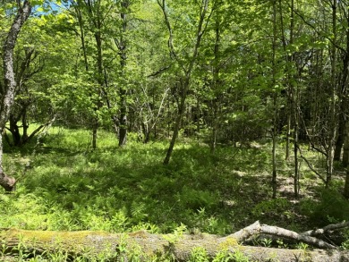 Wooded Camper or Cabin Site Near Oneida Lake - photo 9