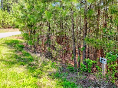 Discover Your Dream Lakefront Escape at Lake Nottely! Located in - photo 7