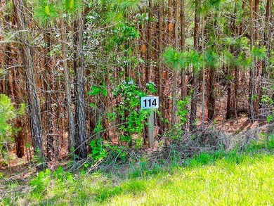 Discover Your Dream Lakefront Escape at Lake Nottely! Located in - photo 8