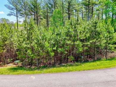 Discover Your Dream Lakefront Escape at Lake Nottely! Located in - photo 9