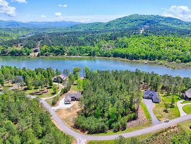Discover Your Dream Lakefront Escape at Lake Nottely! Located in - photo 10