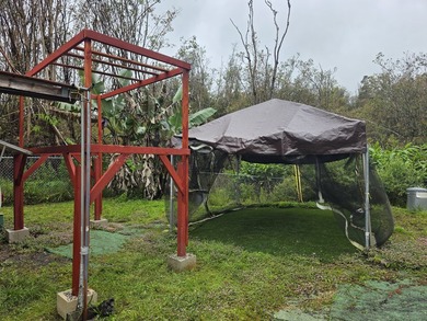 Escape to the tranquility of Hawaii's lush rainforest on this - photo 4