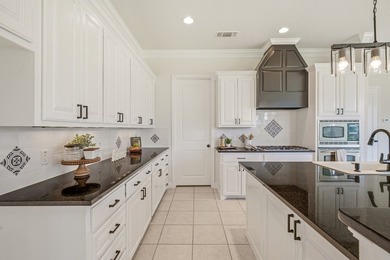 Welcome to effortless living in The Vineyards at Harbor Lakes - photo 11