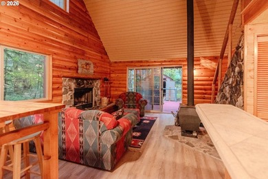 Charming Off-Grid Retreat at Swift Reservoir Northwoods - photo 11